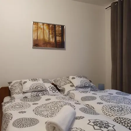 Family Apartment *
